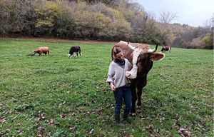 Élevage extensif tournant sur l’ENS. Gavaudun. DR